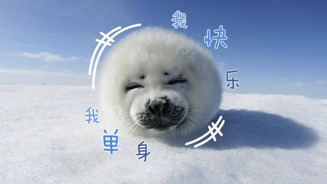 facebook消息发送失败是被对方拉黑了吗_facebook消息发送失败是被对方拉黑了吗怎么办 - facebook相关 - 55dz账号网