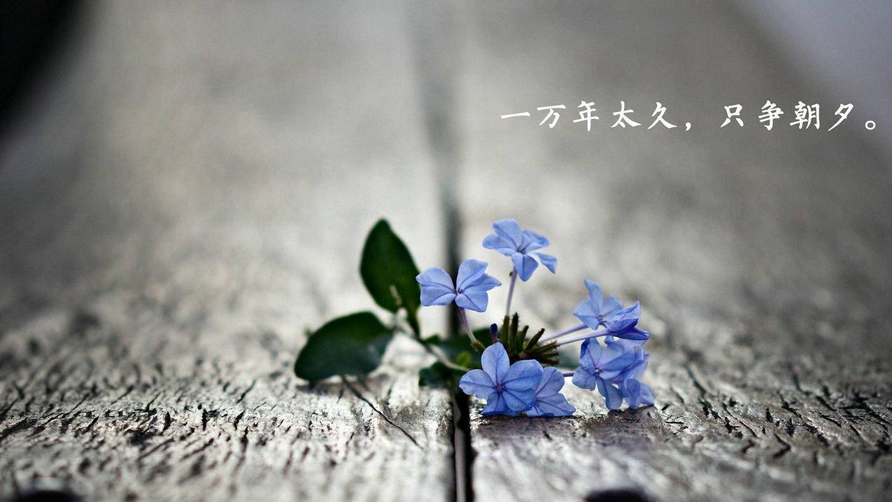 开直播注册什么抖音-dy业务网