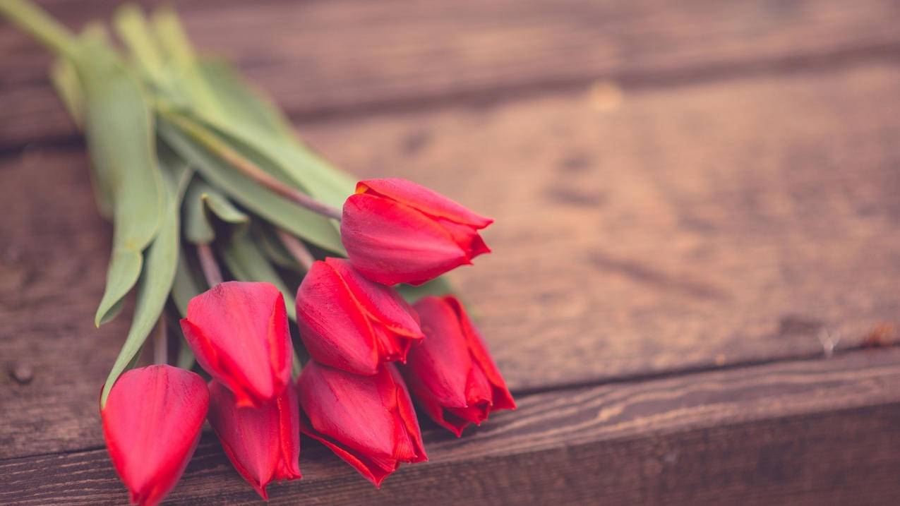 大佬们苹果手机有必要开启什么双重验证码 你们开了吗 ， 苹果双重认证要不要开  - 55dz账号网