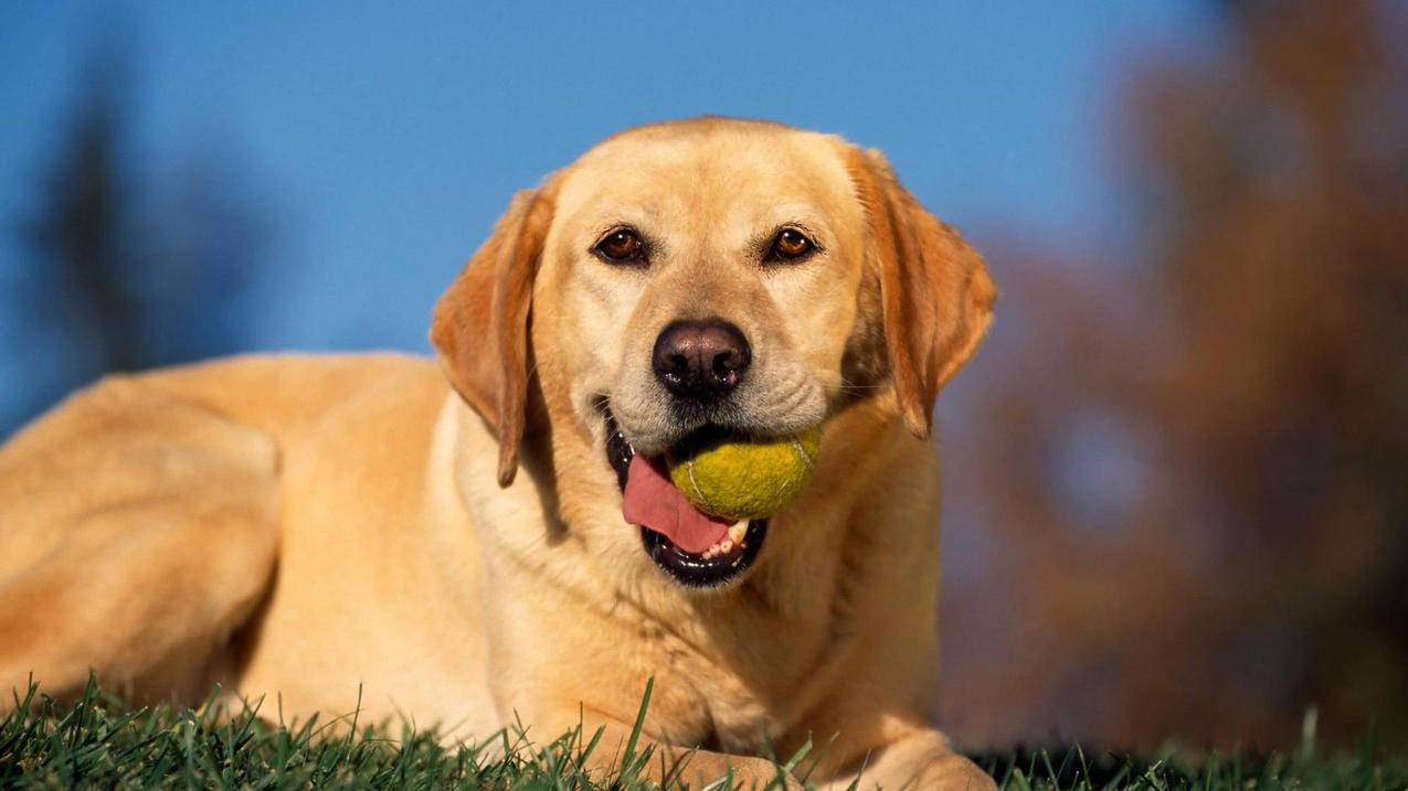 千川如何调整户型？ - 24小时业务商城 - 24小时下单平台