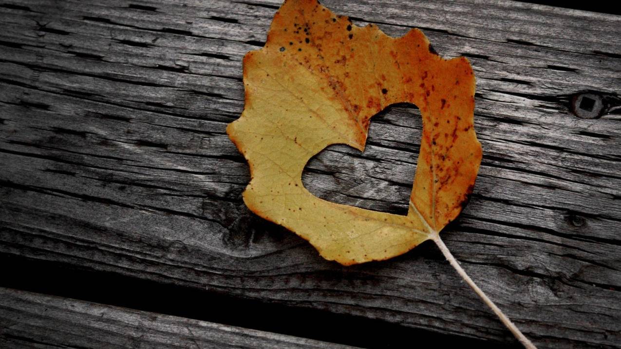 怎么样找回已删除的微信好友_怎么样找回删除了的微信好友 - 微信相关 - 55dz账号网