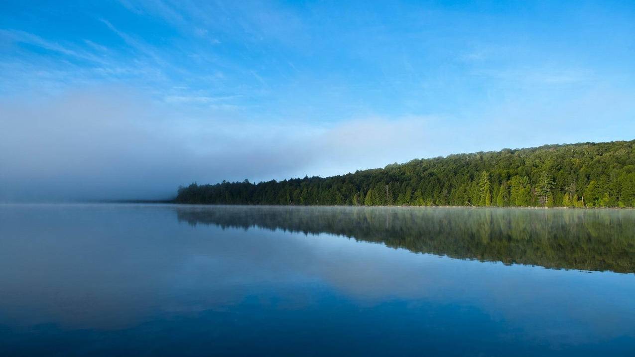 抖音搬运tiktok怎么赚钱_国外抖音tiktok怎么赚钱 - 苹果APP下载 - 55dz账号网