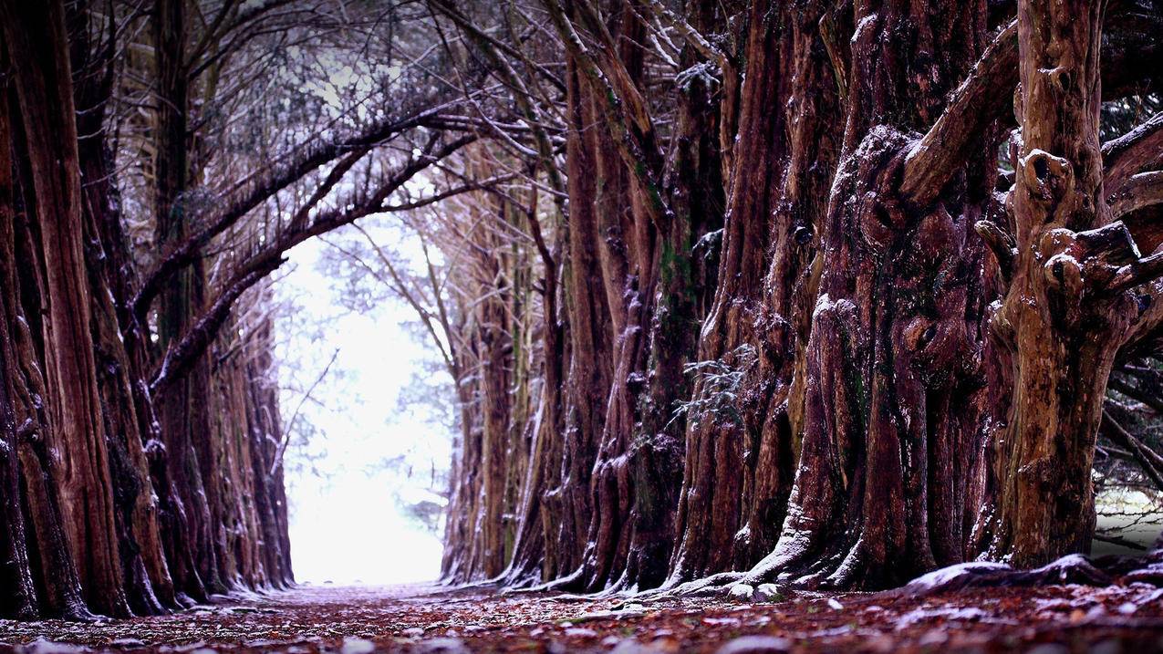 celine衣服标准_celine的衣服是什么风格的 - Line相关 - 55dz账号网