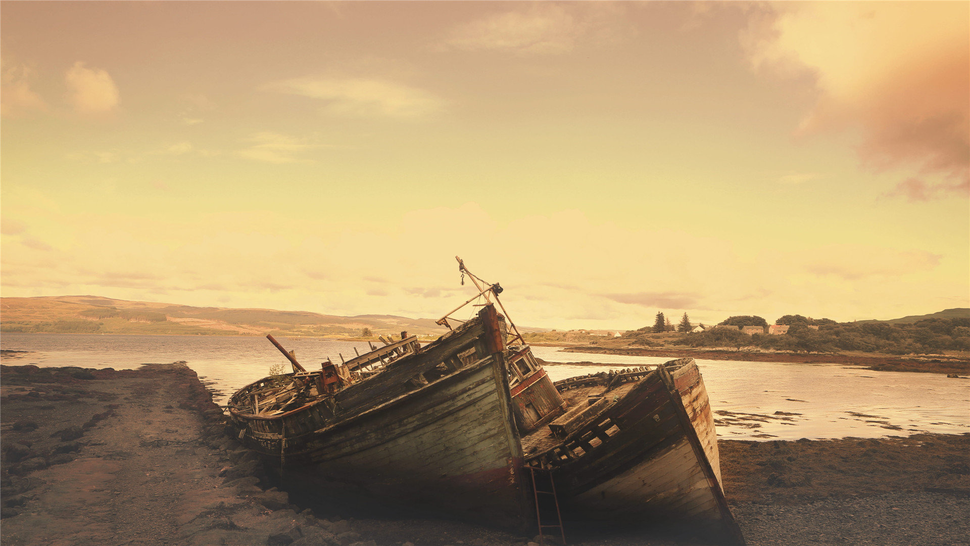 zoom选手是什么意思_zoom选手是什么意思 - zoom相关 - 55dz账号网