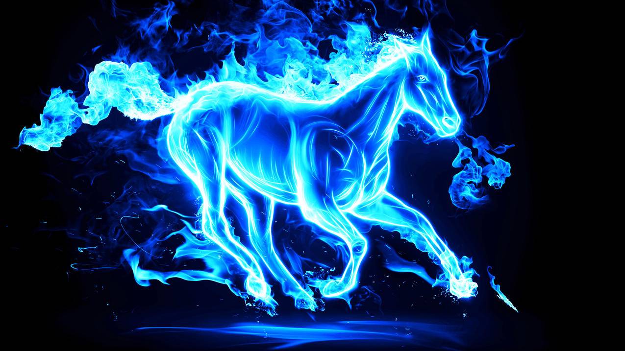 安卓wine打开灰屏_android wine 黑屏 - gmail相关 - 55dz账号网