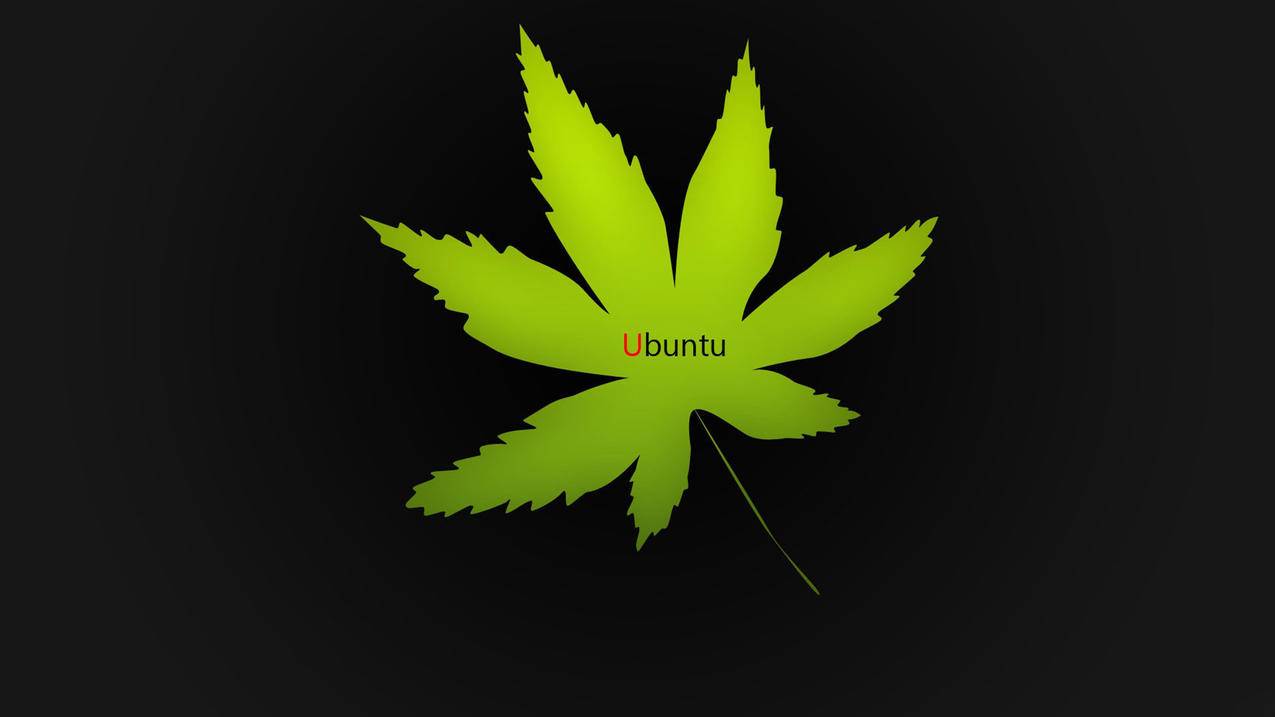 菲律宾苹果id可以随便设置吗（菲律宾苹果id可以随便设置吗） - 各区苹果ID - 55dz账号网