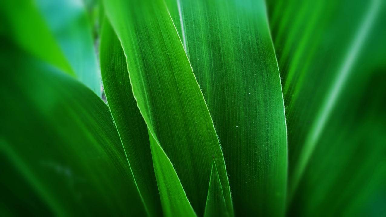 韩国苹果id密码忘了找回密码时连接不了服务器_韩国苹果id密码忘了找回密码时连接不了服务器了 - 韩国苹果id - 55dz账号网