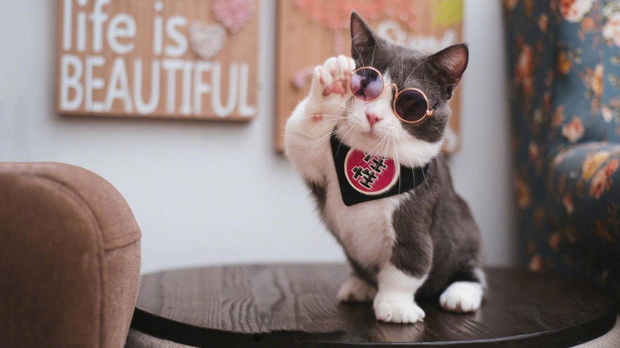 openclash全局模式无配置_OpenClash 运行模式 - clash相关 - 55dz账号网