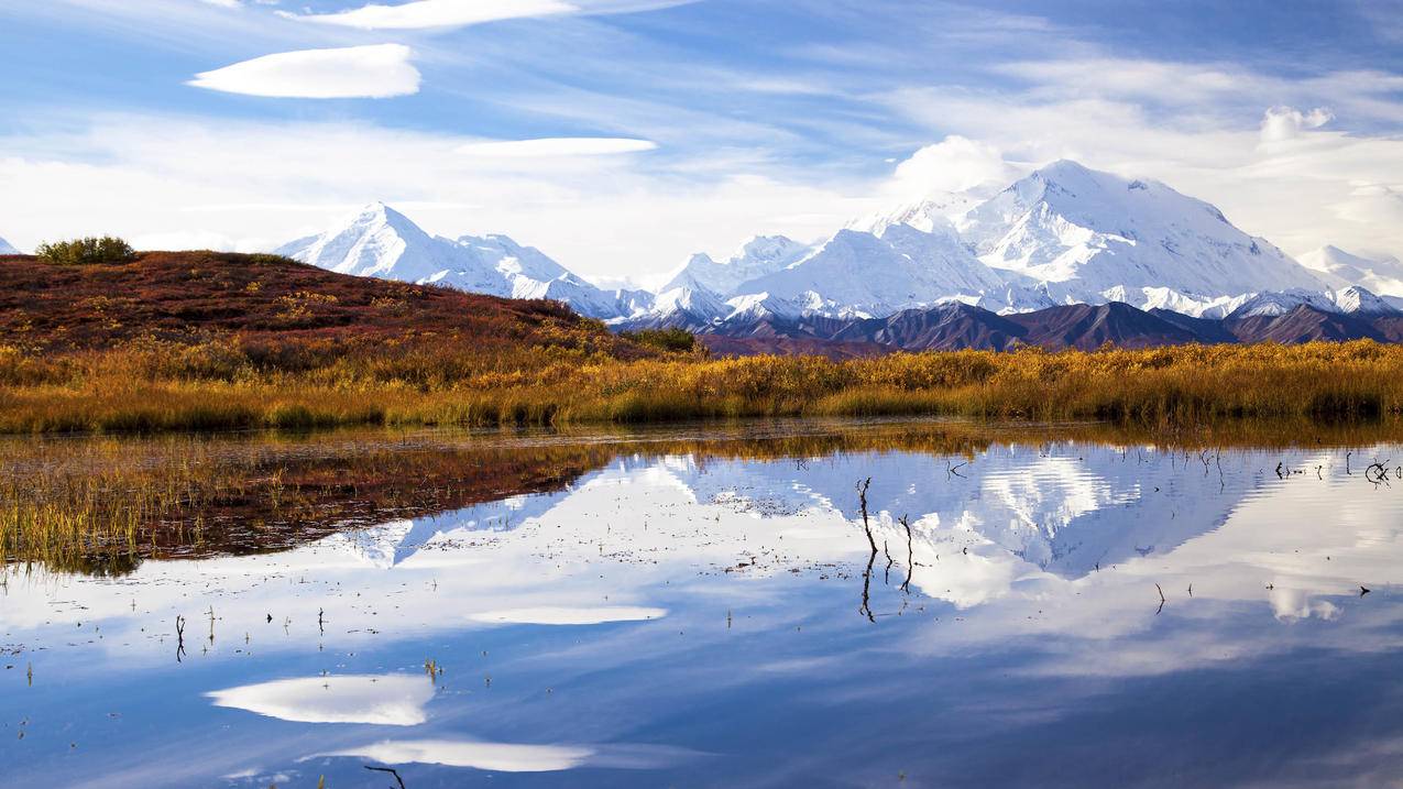 抖音有什么官网-dy业务网