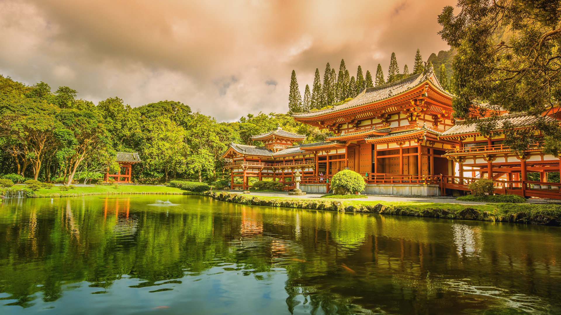 如何高效进行小红书合作推广？ - 网络资讯 - ks业务下单