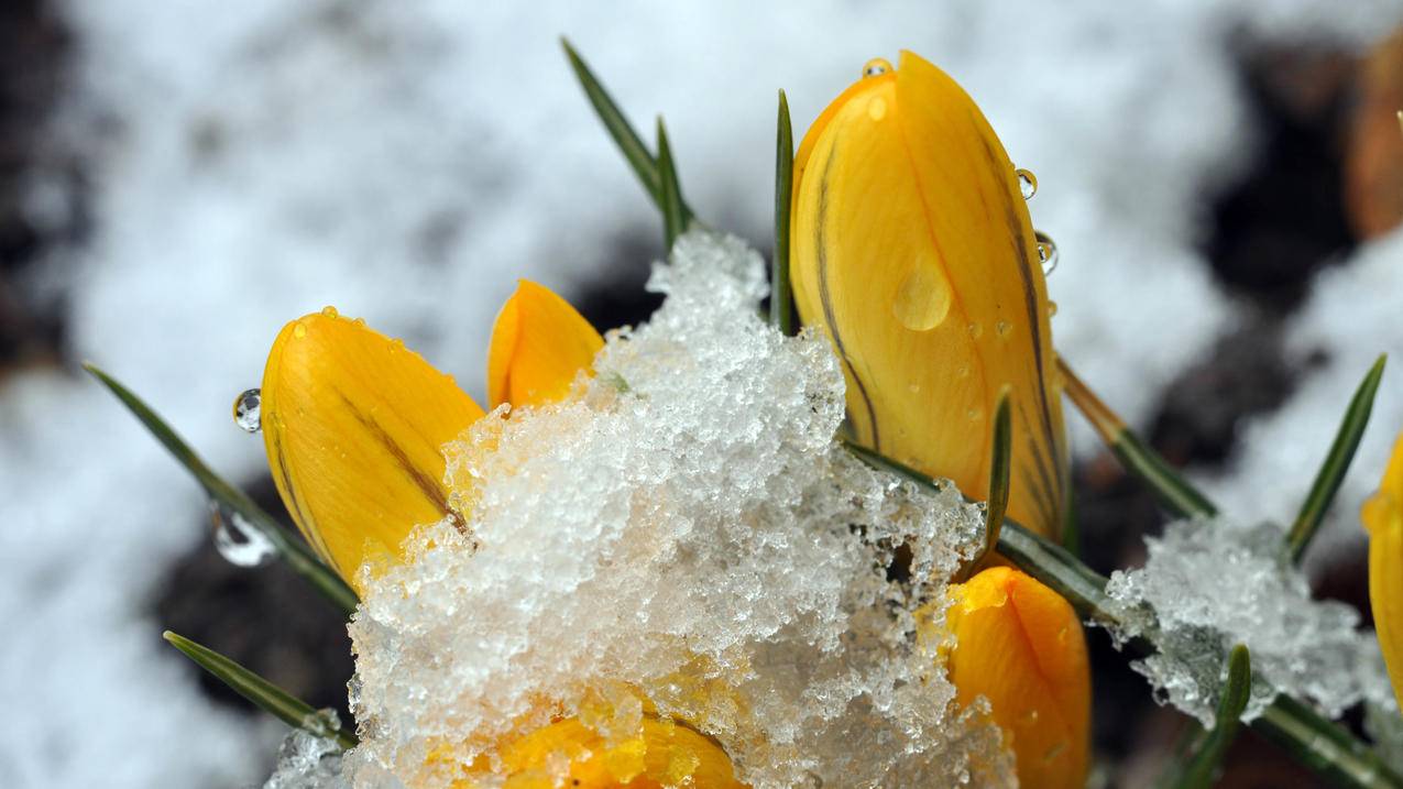 线切割抖丝 - qq空间刷平台全网+最低价啊免费,一元100个快手粉丝网站,QQ业务刷赞网址