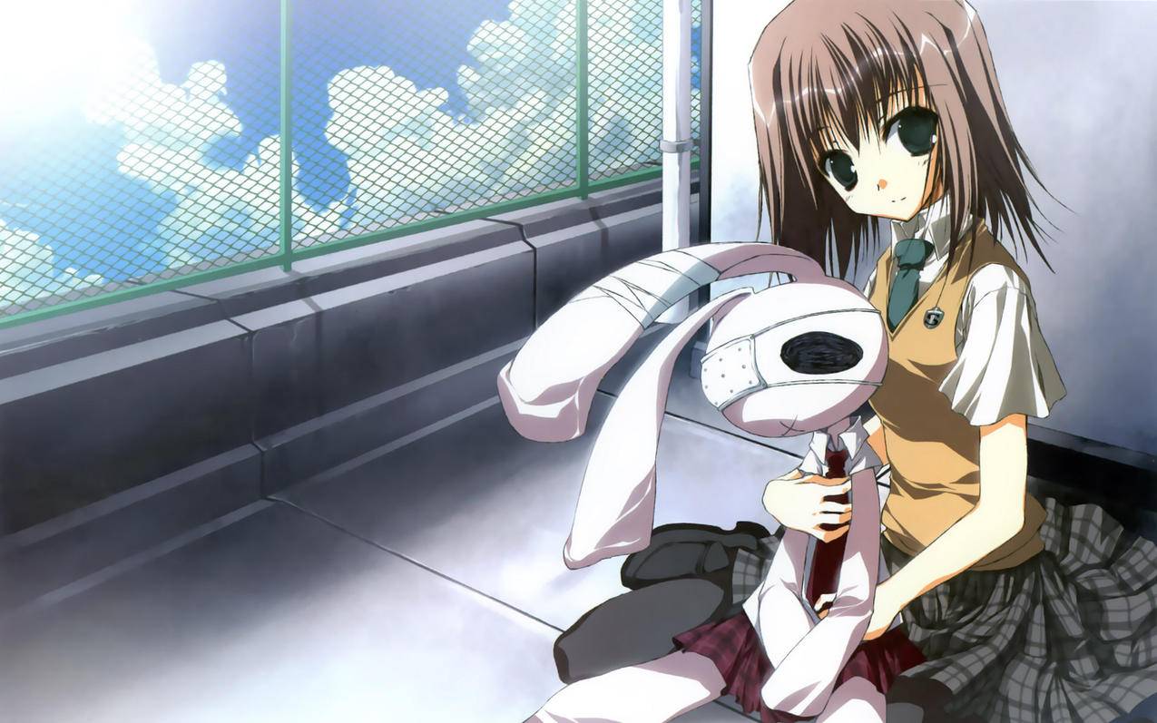 苹果手机怎么换id账号密码忘记了怎么办 ， apple id密码忘记了怎么更换账号  - 55dz账号网