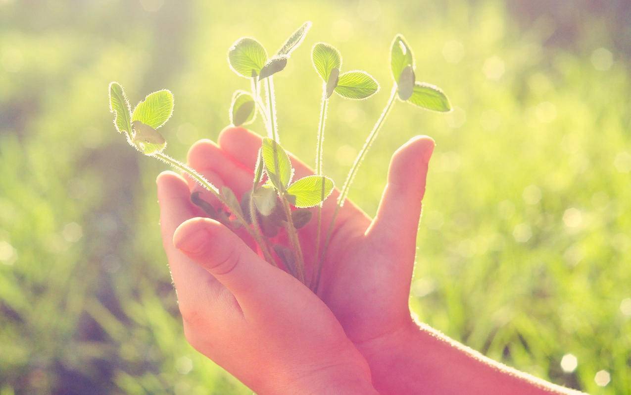 tiktok怎么升级版本_tiktok怎么更新新版本 - 苹果APP下载 - 55dz账号网