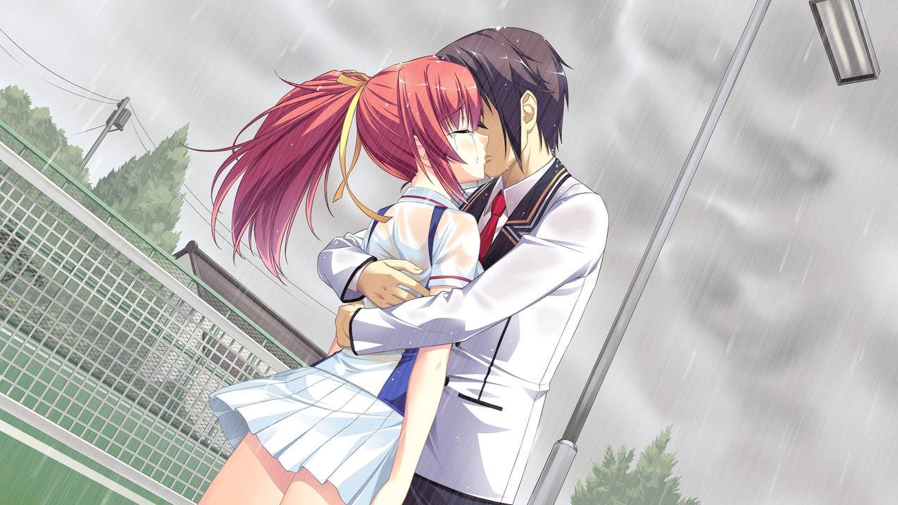 抖音陶瓷选择什么类目-dy业务网