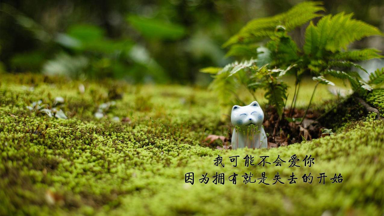 卡盟自助下单平台24小时 - 博尔塔拉快手刷双击秒刷蚂蚁,快手免费刷双击在线