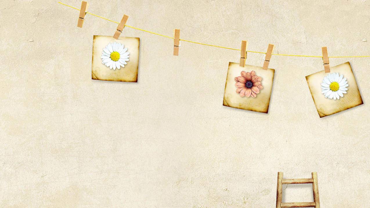 tcl电视无法运行googleplay  ( 安卓电视如何安装谷歌市场googleplaystore? ) - 55dz账号网