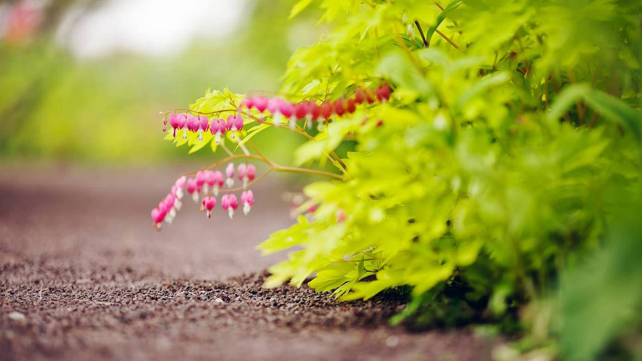 facebook视频广告时长不超过_facebook投放广告时间段 - facebook相关 - 55dz账号网