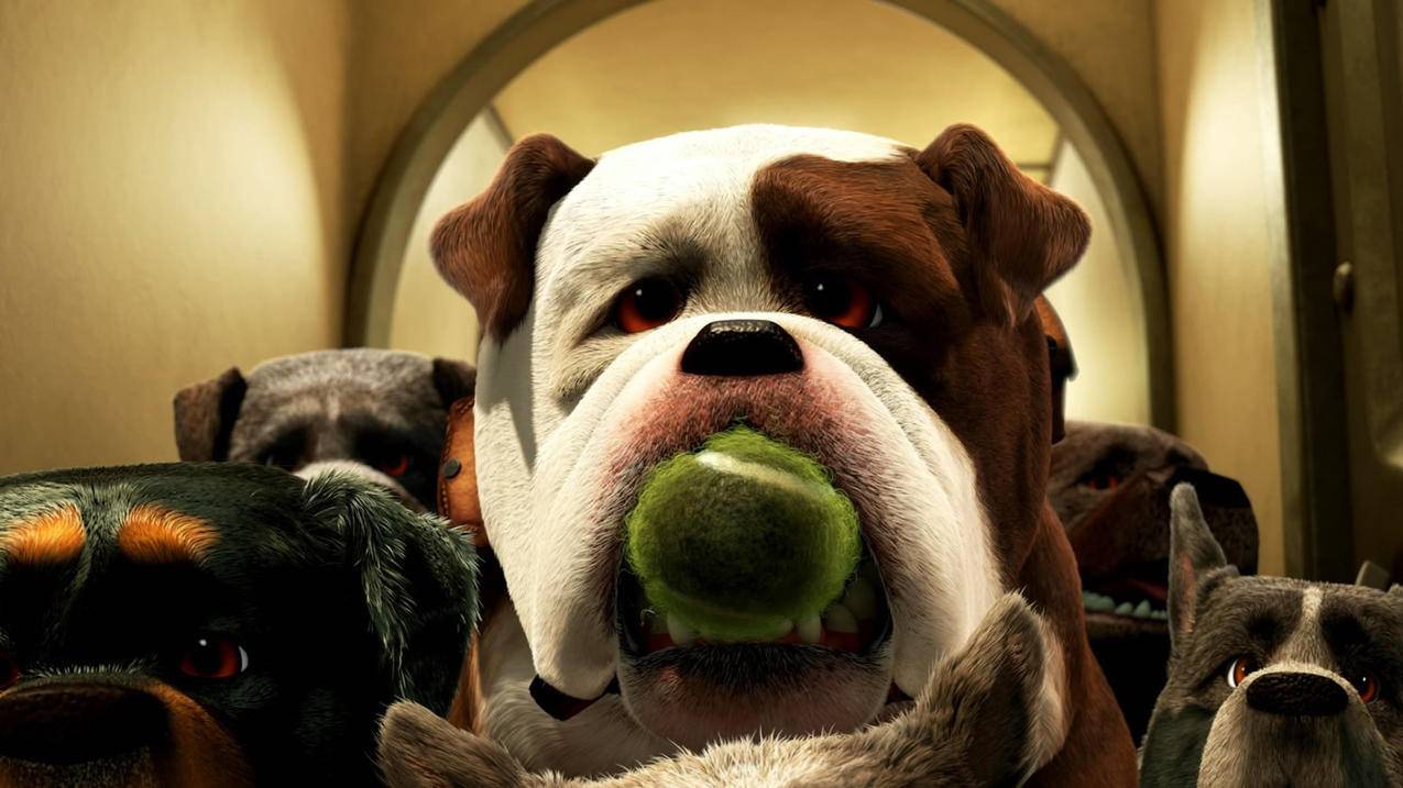 line是什么意思啊英语怎么读音_line的英语怎么读啊 - Line相关 - 55dz账号网