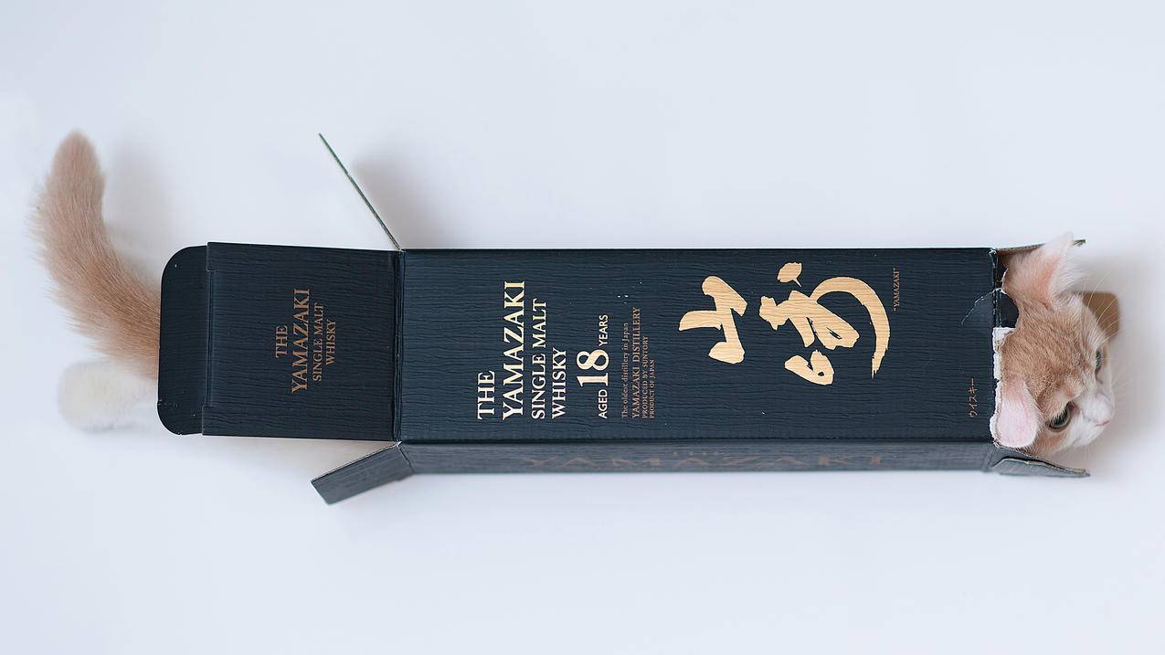 clashforwindows无法使用_clashforwindows手机能用吗 - clash相关 - 55dz账号网