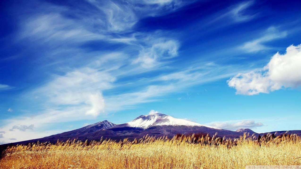 怎么用微信充值越南苹果id余额（怎么用微信充值越南苹果id余额） - 各区苹果ID - 55dz账号网