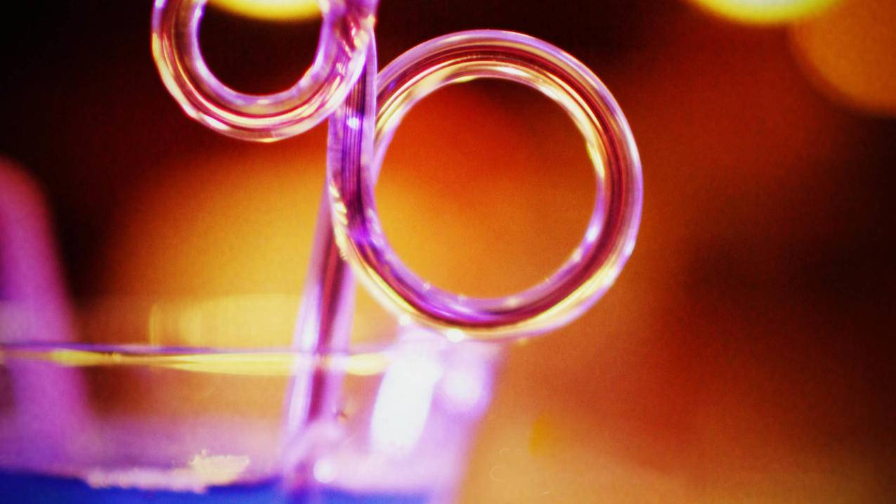 已购小火箭id账号共享（小火箭服务器节点购买）-苹果分享网