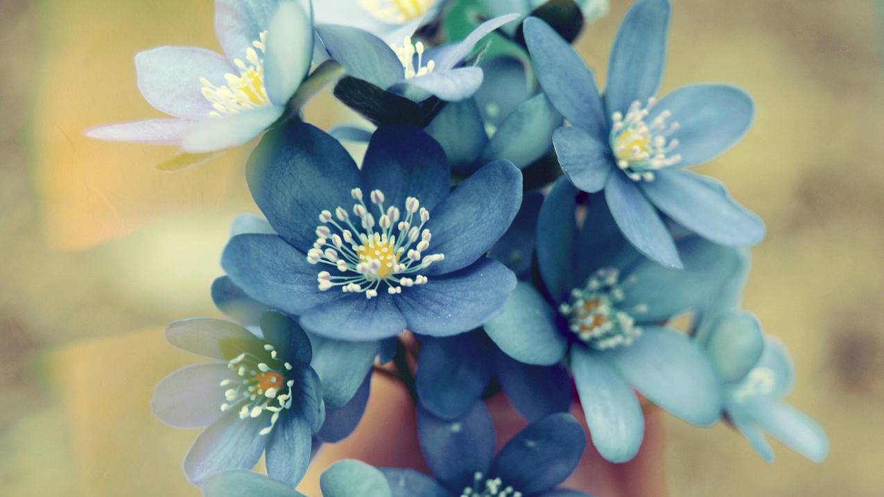 朗逸的油管在哪里_朗逸的油管在哪里装 - youtube相关 - 55dz账号网