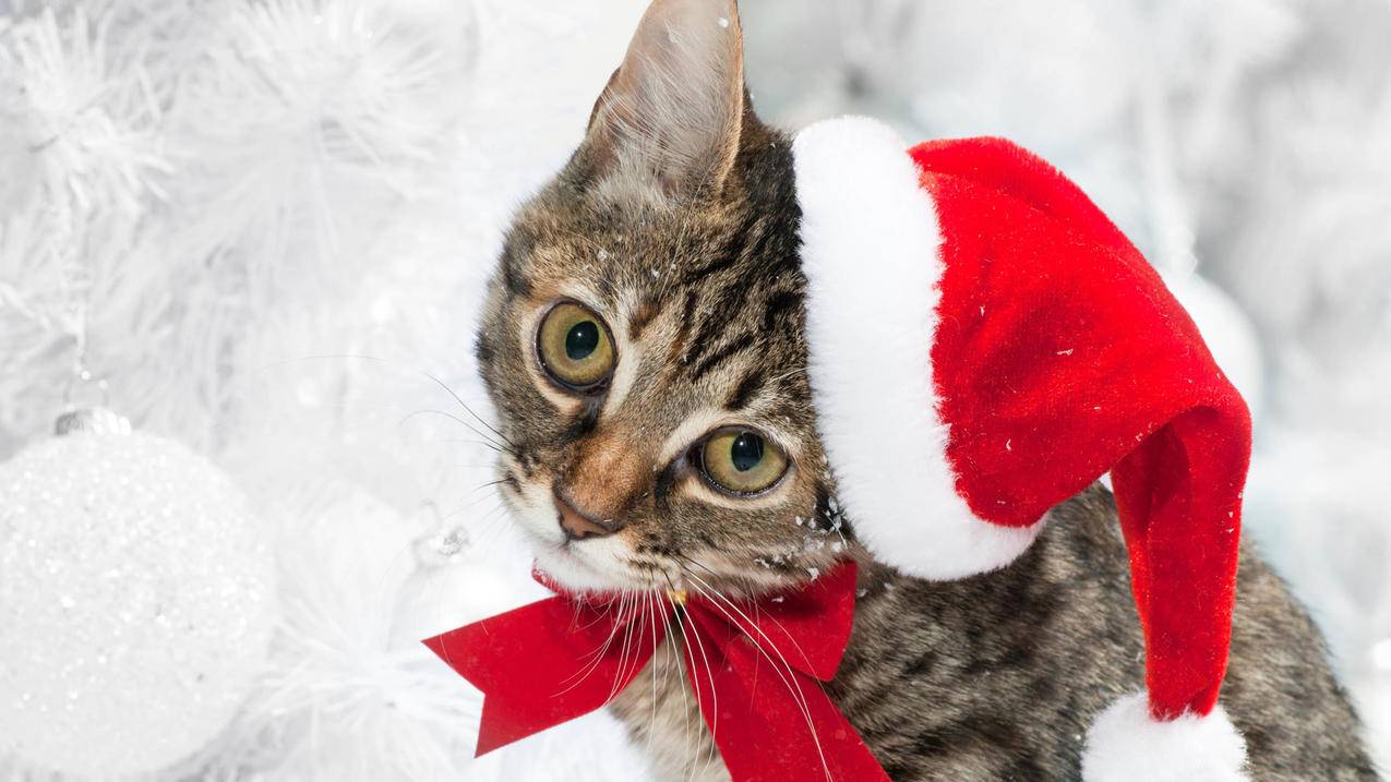 千川木门公司如何？ - 24小时业务商城 - 24小时下单平台