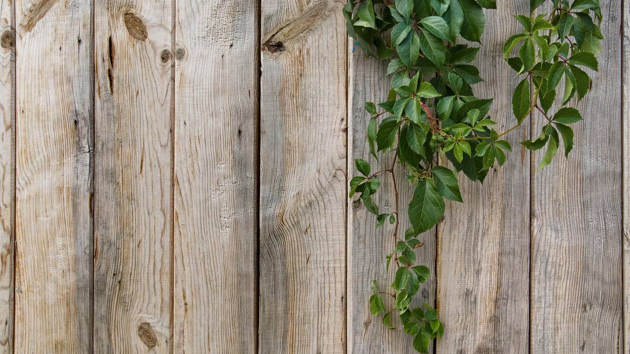 快手刷双击自助下单秒刷2019 - 抖音刷赞平台苹果版-快手刷的真人粉