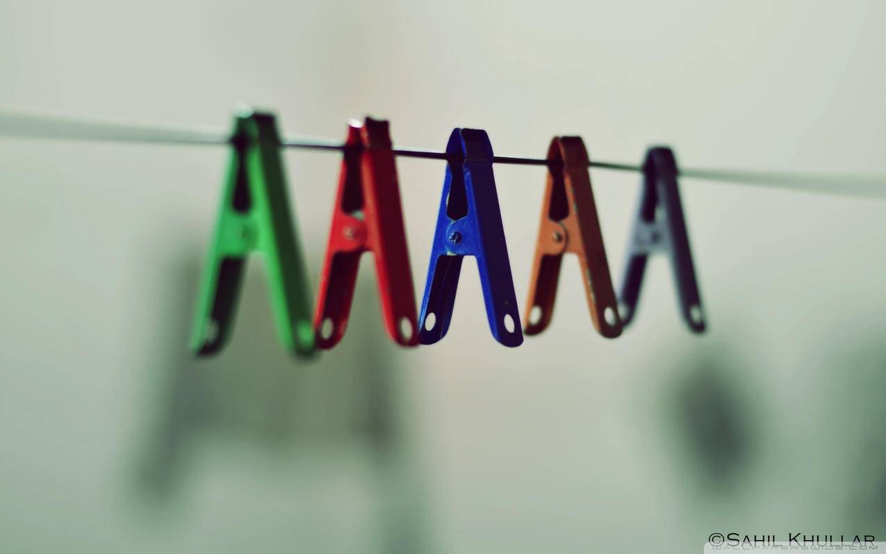 zoom怎么共享屏幕退不出全屏_zoom怎么关闭共享屏幕 - zoom相关 - 55dz账号网