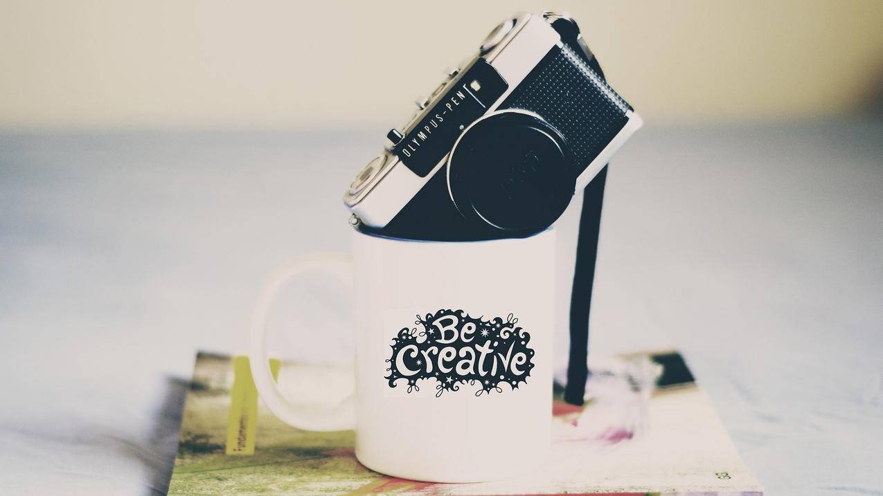 网易云关注列表排列顺序 - 代刷24小时下单平台,啊泽卡盟官网,抖音双击代刷网站