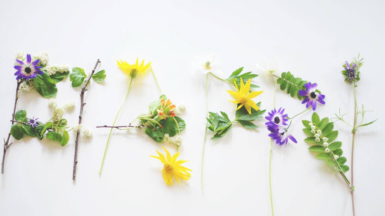 小火箭怎么使用  ( 小火箭代理共享是要同一个wifi吗 ) - 55dz账号网