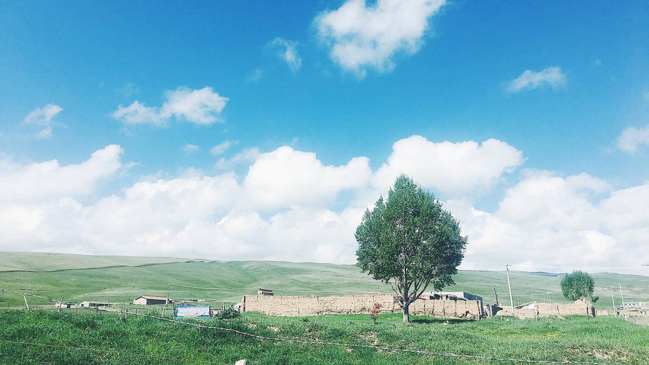 google存在异常活动_谷歌账号显示异常活动 - google相关 - 55dz账号网