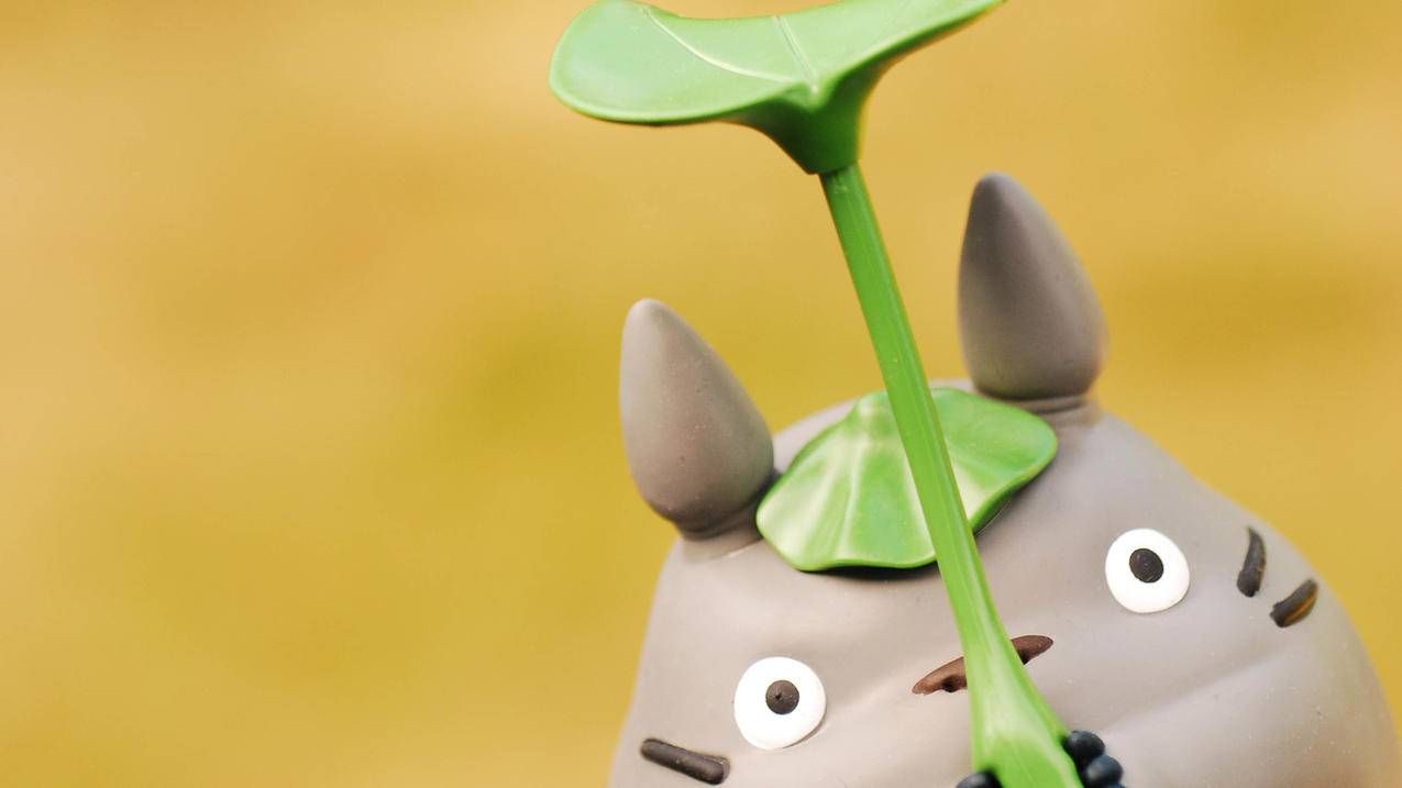 ins怎么自己可见_ins怎么仅个人可见 - INS相关 - 55dz账号网