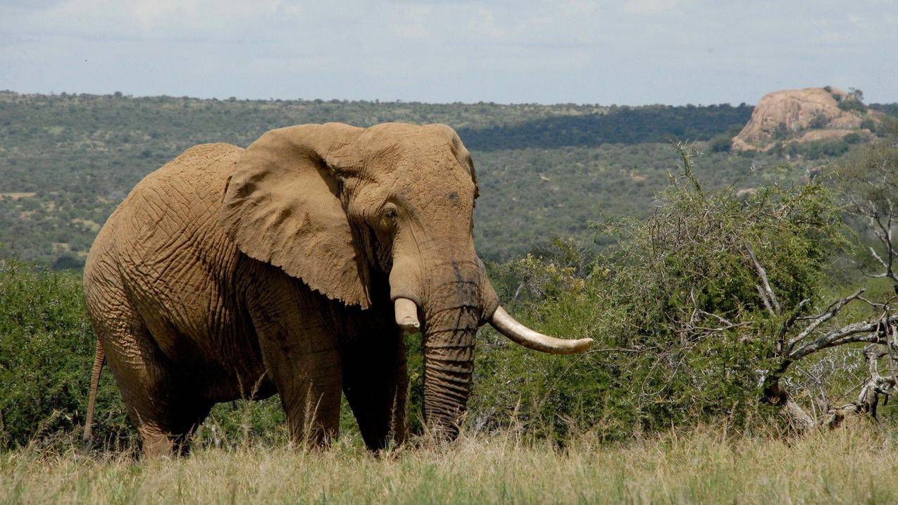 爱奇艺推荐页面是灰色_爱奇艺 灰色 - 新闻中心 - 55dz账号网