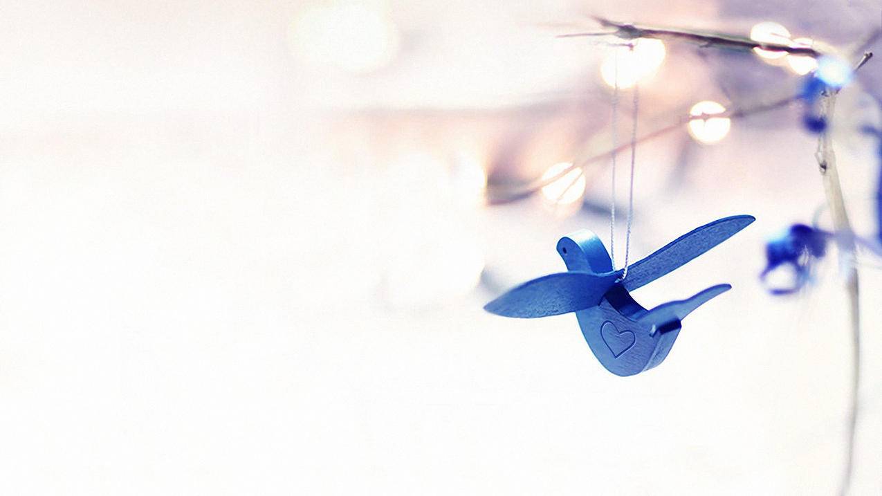 facebook账号售卖_买卖facebook账号合法吗 - facebook相关 - 55dz账号网