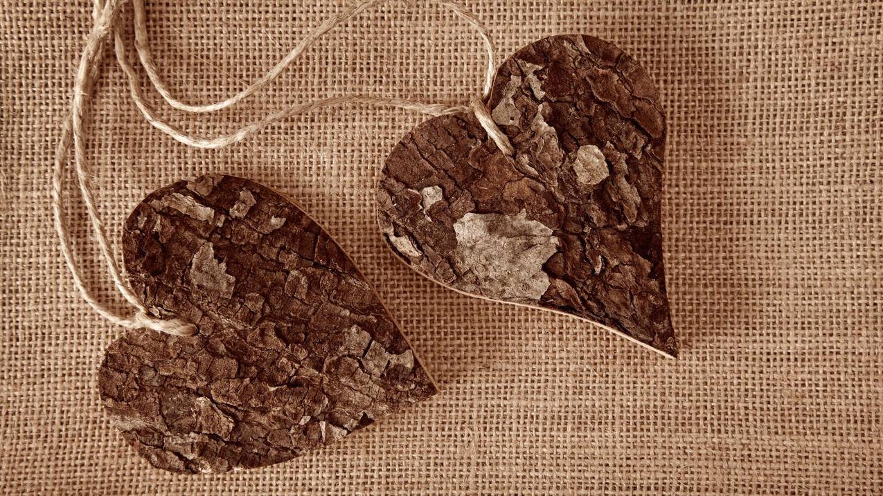 苹果退款需要多久? ， 苹果退款多久到账  - 55dz账号网