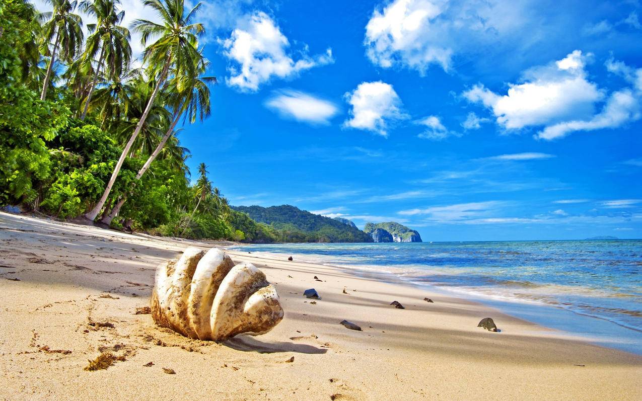 微波炉拼多多砍价多少 - ks业务 - 蘑菇业务网