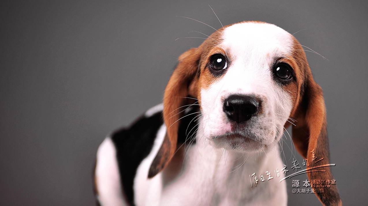 手机邮箱可以注册淘宝号吗_手机邮箱可以注册淘宝号吗安卓 - gmail相关 - 55dz账号网