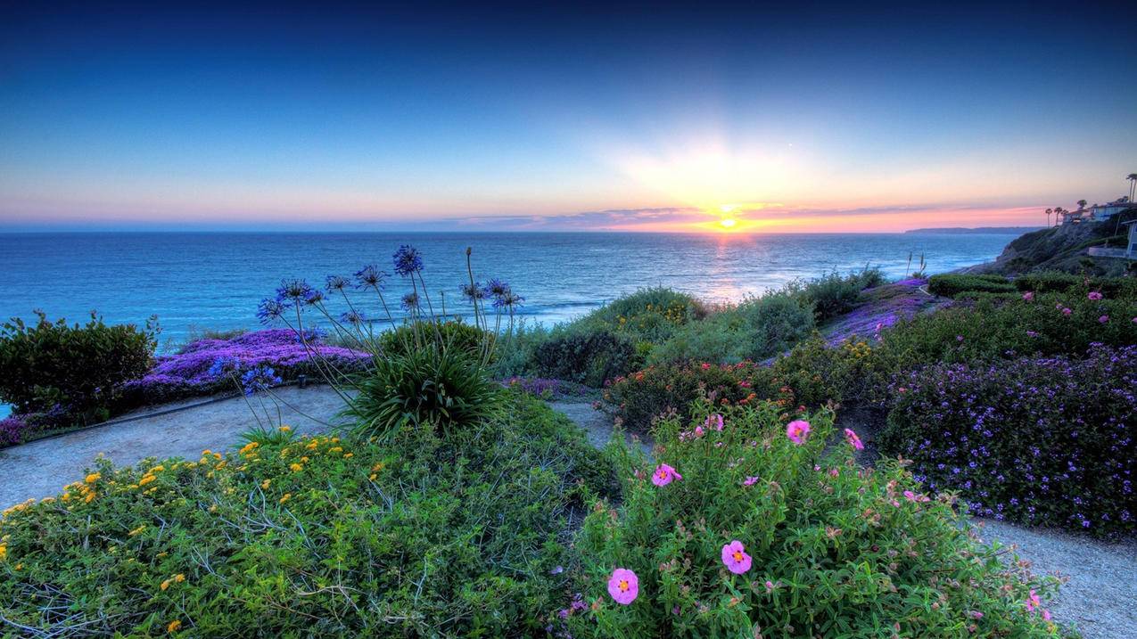 微博最少买10个赞的平台 - 全网最低价刷qq空间访客,抖音刷双击秒刷在线最低,全网最低价抖音业务网站,抖音买赞一块钱500个赞平台