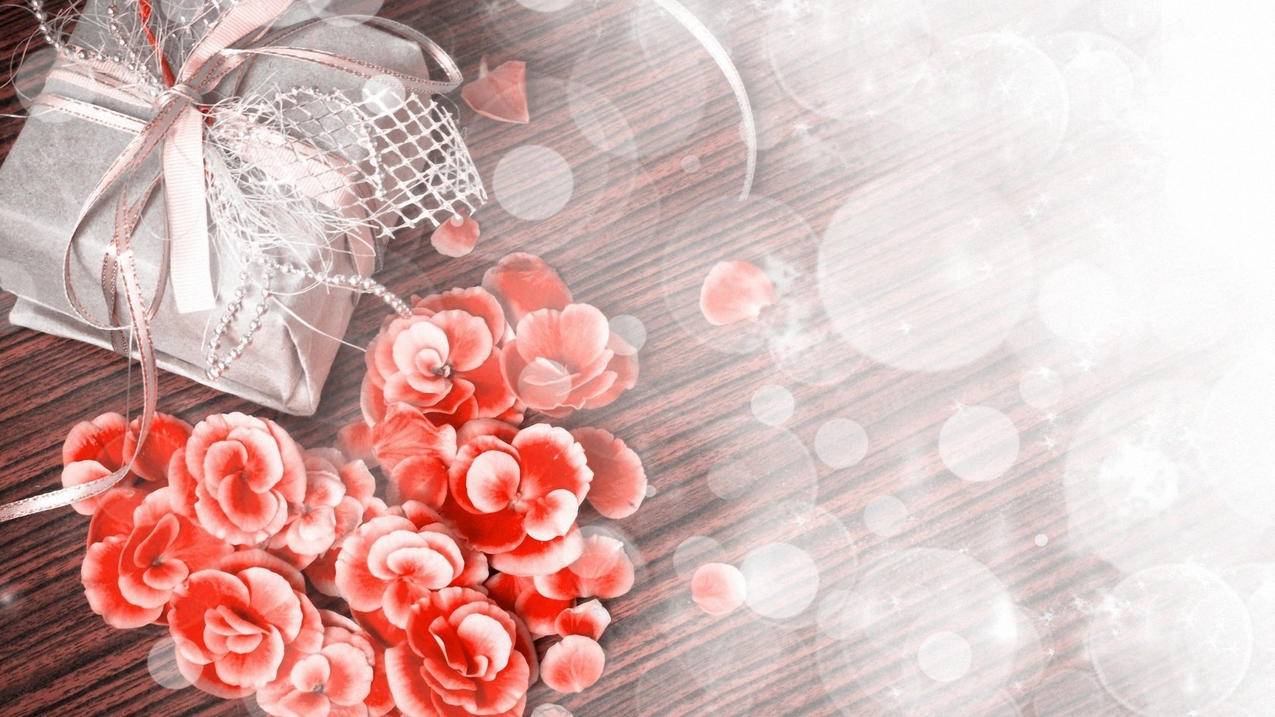 怎么下载tiktok账号_怎么创建tiktok账号 - 苹果APP下载 - 55dz账号网