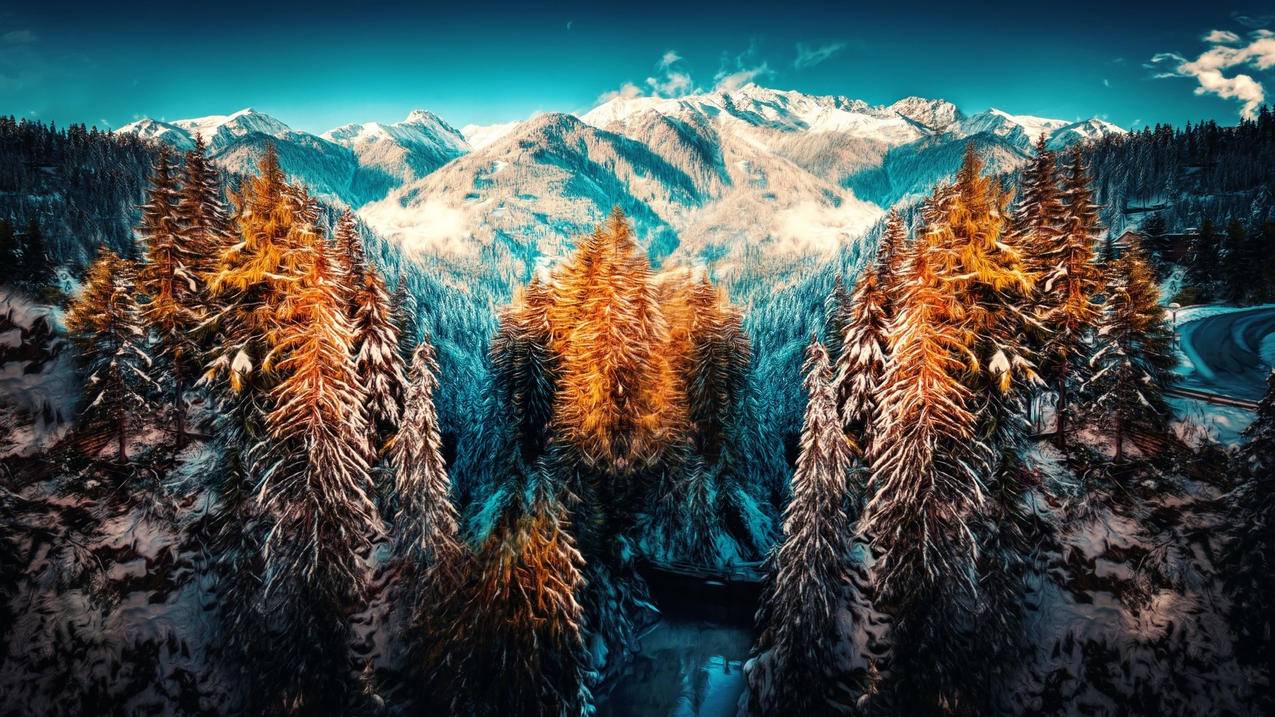 新手入门礼品卡（GiftCard）全网最全介绍 - Apple ID相关 - 55dz账号网