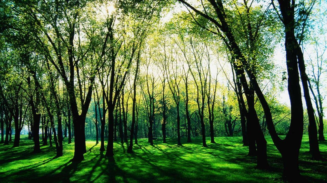 拼多多砍价阻力怎么办啊-dy业务网