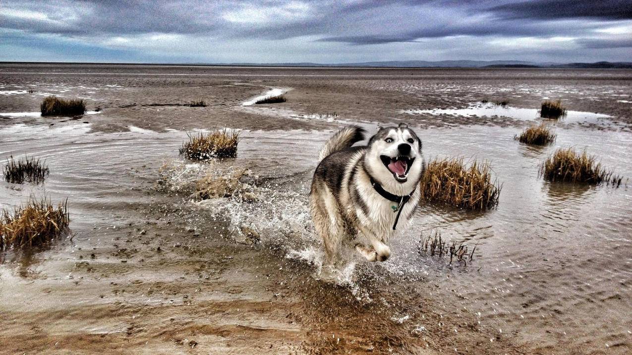 butterflyaffection安卓下载链接_butterflyaffection安卓版下载 - skype相关 - 55dz账号网