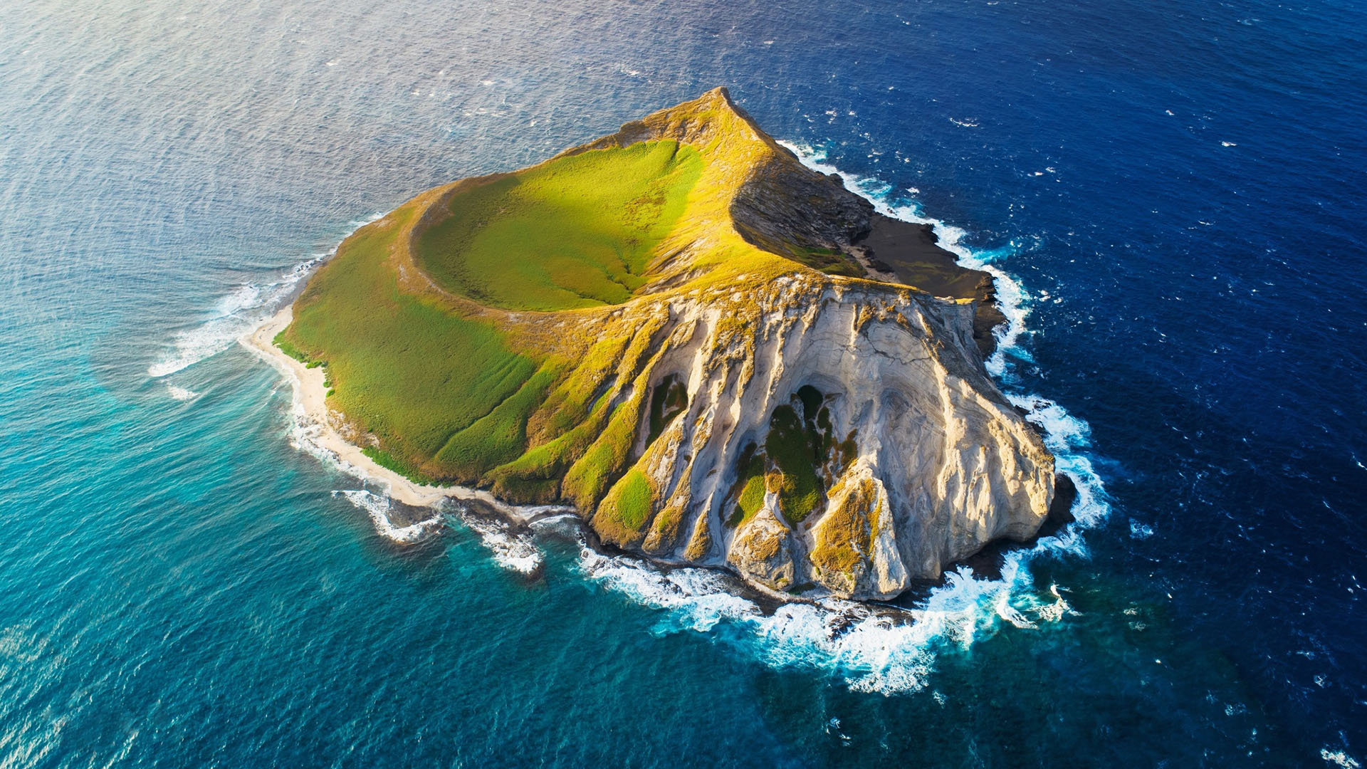 小红书如何接任务挣钱 - 自助平台 - dy业务网