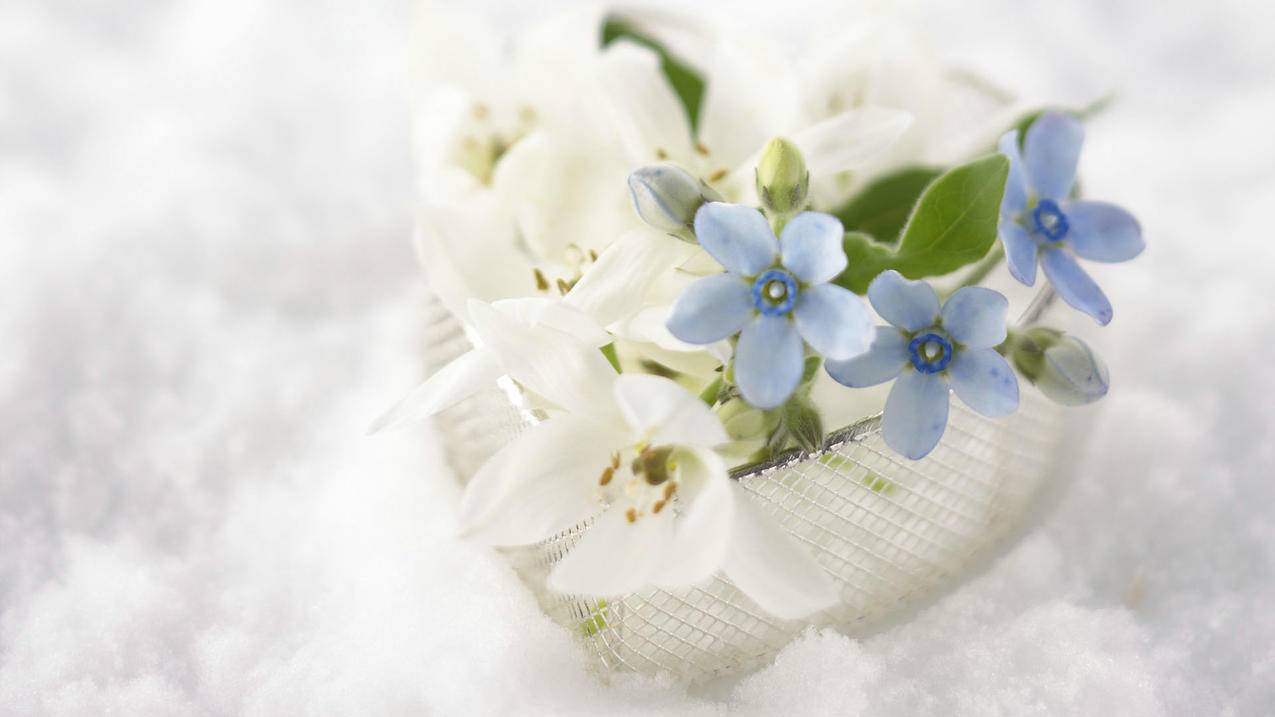 壁纸ins风超火壁纸可爱蜡笔小新_蜡笔小新壁纸超萌 可爱 - INS相关 - 55dz账号网