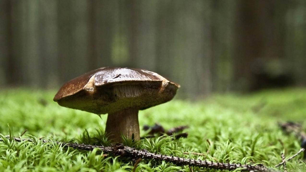 微信地图定位怎么添加店铺位置湖南麻阳微信地图_微信地理位置怎么添加店铺 - 微信相关 - 55dz账号网