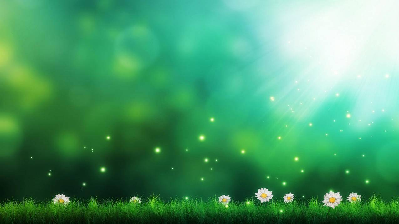 apple id已被停用怎么解除 ， 苹果ID已停用无法退出怎么办?  - 55dz账号网