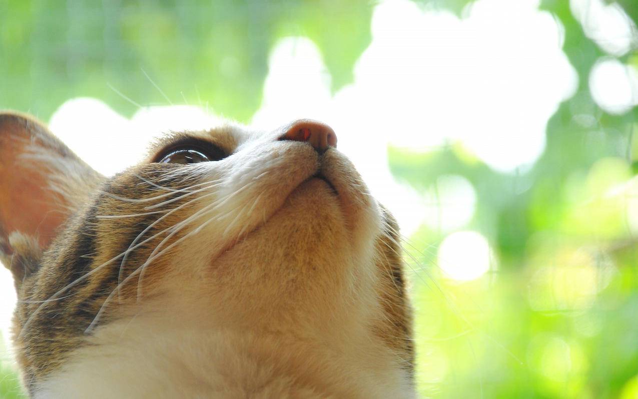 ps2022没有cameraraw滤镜_ps2019的cameraraw滤镜在哪 - messenger相关 - 55dz账号网