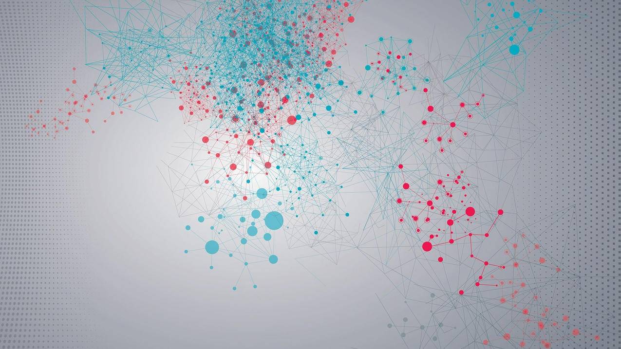 TikTok退货政策详解：退货运费究竟由谁来买单-苹果id平台