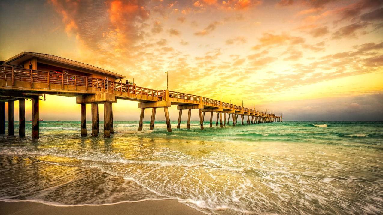 手机下载油管视频的网址_油管视频手机怎么下载 - youtube相关 - 55dz账号网